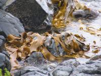 Albums/20060200-New Zealand 2006/20060212-south/32